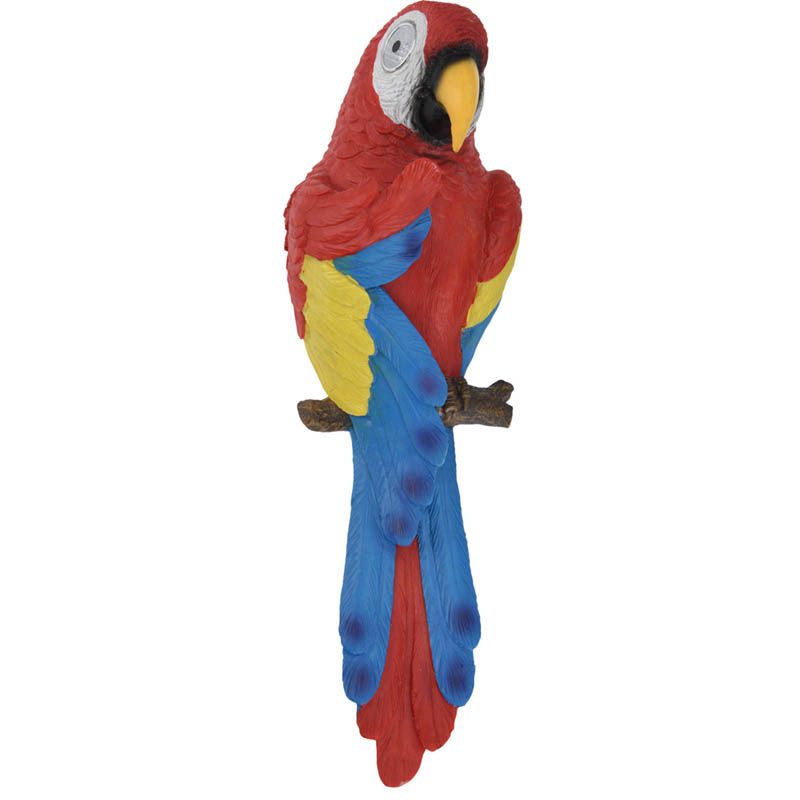 ds47976-rood.jpg Papegaai met solarogen